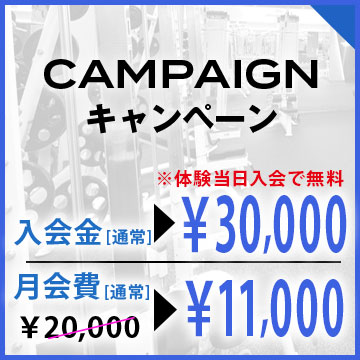 キャンペーン